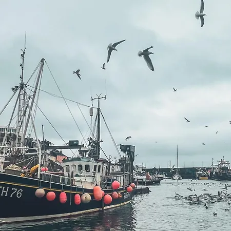 Dolphin By Interhome Mevagissey